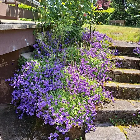 בית נופש Haus Tildchen