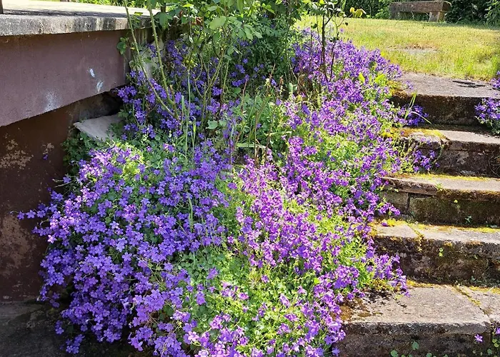 Nyaraló Haus Tildchen